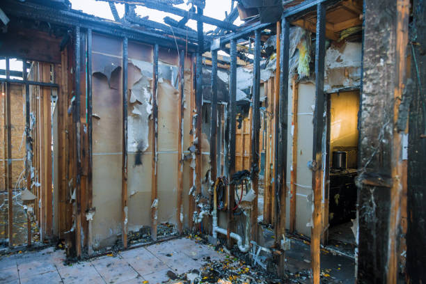 Professional Emergency Fire Cleanup technician working in Schleswig, IA